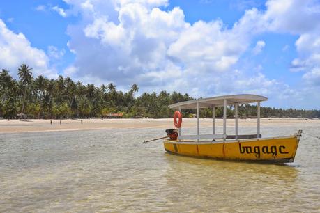 Playas de Pernambuco: Praia dos Carneiros y Porto das Galinhas