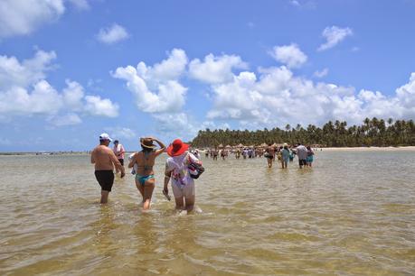 Playas de Pernambuco: Praia dos Carneiros y Porto das Galinhas