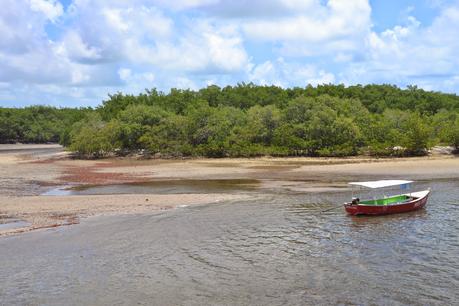 Playas de Pernambuco: Praia dos Carneiros y Porto das Galinhas