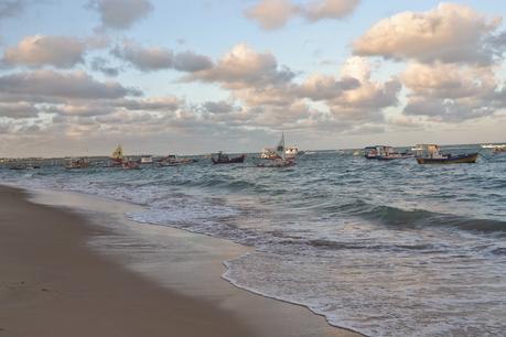 Playas de Pernambuco: Praia dos Carneiros y Porto das Galinhas