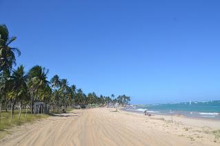 Playas de Pernambuco: Praia dos Carneiros y Porto das Galinhas