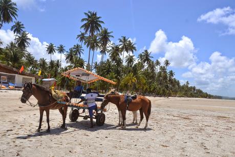 Playas de Pernambuco: Praia dos Carneiros y Porto das Galinhas