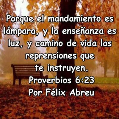 Crecer a partir de tus errores Crecer a partir de tus errores