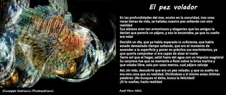 Las MICROGRAFÍAS de Emotionage Micrografia 10 Satriani-Asof-PORTATA