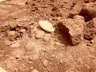 Roswell: 68 años de un mito Roswell: 68 años de un mito