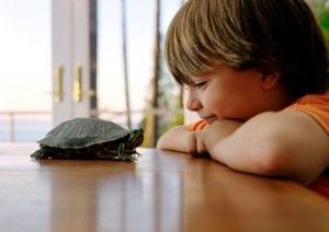 ¿Por qué son recomendables las mascotas en la infancia?