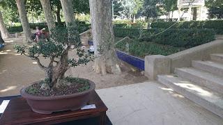 Masia Freixas , exposicion en el parque . Masia Freixas , exposicion en el parque .