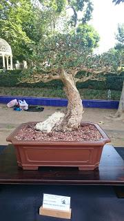 Masia Freixas , exposicion en el parque . Masia Freixas , exposicion en el parque .