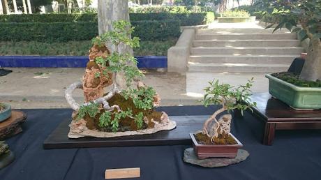 Masia Freixas , exposicion en el parque . Masia Freixas , exposicion en el parque .