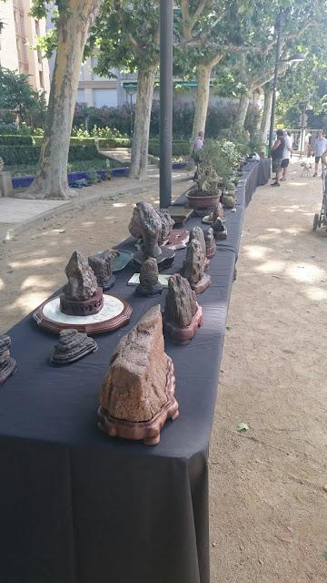 Masia Freixas , exposicion en el parque . Masia Freixas , exposicion en el parque .