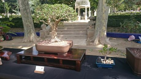 Masia Freixas , exposicion en el parque . Masia Freixas , exposicion en el parque .