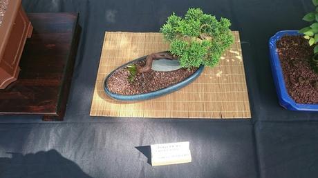 Masia Freixas , exposicion en el parque . Masia Freixas , exposicion en el parque .