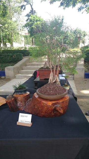 Masia Freixas , exposicion en el parque . Masia Freixas , exposicion en el parque .