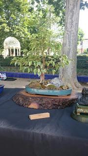 Masia Freixas , exposicion en el parque . Masia Freixas , exposicion en el parque .