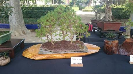 Masia Freixas , exposicion en el parque . Masia Freixas , exposicion en el parque .