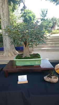 Masia Freixas , exposicion en el parque . Masia Freixas , exposicion en el parque .