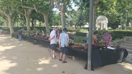 Masia Freixas , exposicion en el parque . Masia Freixas , exposicion en el parque .