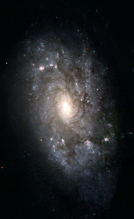 NGC 3949 una galaxia similar a la Vía Láctea NGC 3949 una galaxia similar a la Vía Láctea