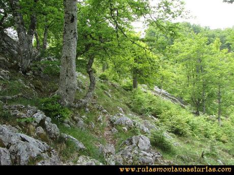 Ruta Tielve Peña Maín: Camino a la cima Ruta Tielve Peña Maín: Camino a la cima