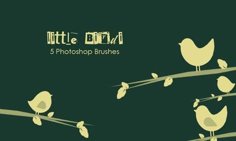 10 Little Bird Brushes 10 Little Bird Brushes