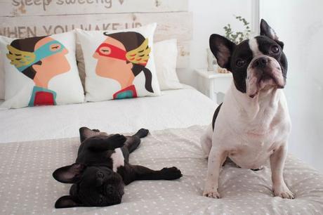 Así ha quedado mi dormitorio con los cojines ILUSTRANDO TUS SUEÑOS! Así ha quedado mi dormitorio con los cojines ILUSTRANDO TUS SUEÑOS!