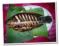 fish of from mekong river