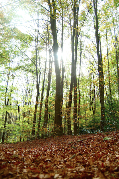 MUJERES: SEGUNDO ENCUENTRO MUJERES: SEGUNDO ENCUENTRO