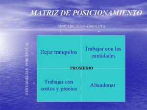 La Matriz De Posicionamiento de Productos / Negocios