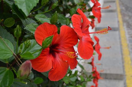 Canet, Peñiscola, Sagunto. Canet, Peñiscola, Sagunto.