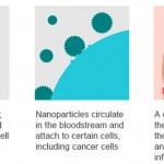 Una calcomanía con chip, nuevo wearable de monitorización Una calcomanía con chip, nuevo wearable de monitorización