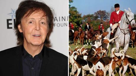 Paul McCartney se pone en contra de la cacería de zorros