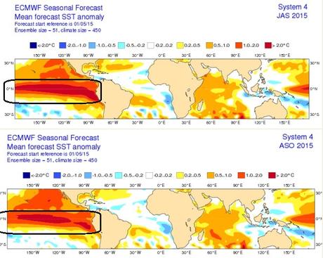 Se prevé que el Océano Pacífico Tropical mantendrá temperatura sobre lo normal durante los próximos meses