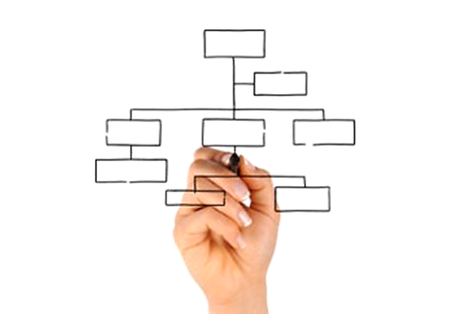 Falta de seriedad en el organigrama empresarial, un problema medular Falta de seriedad en el organigrama empresarial, un problema medular