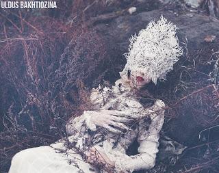 LATIDOS... LATIDOS...