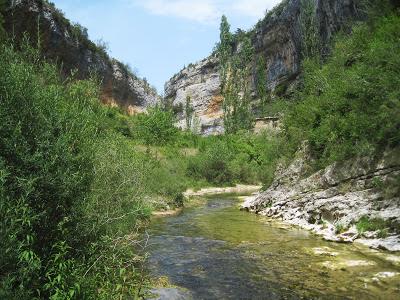 Barranco Basender (Sierra de Guara)