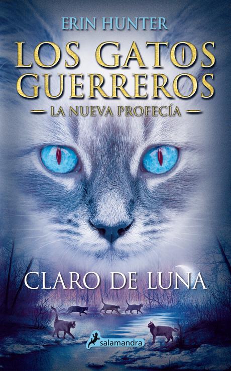 Sorteo - LOS GATOS GUERREROS -