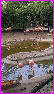Zoológico De Barranquilla