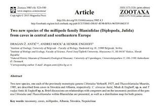 Nuevas especies de diplópodos en cuevas de Eslovaquia y Albania Nuevas especies de diplópodos en cuevas de Eslovaquia y Albania