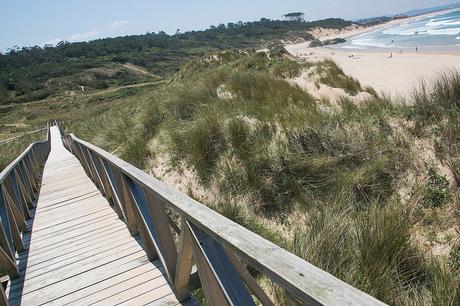 Paseamos por la Duna Didáctica de Loredo Duna didáctica de Loredo