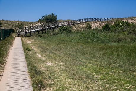 Paseamos por la Duna Didáctica de Loredo Duna didáctica de Loredo