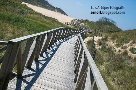 Paseamos por la Duna Didáctica de Loredo Paseamos por la Duna Didáctica de Loredo