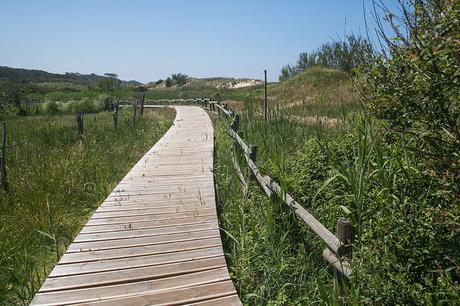 Paseamos por la Duna Didáctica de Loredo Duna didáctica de Loredo