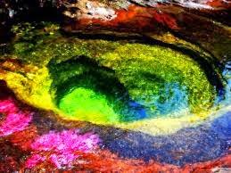 Las 7 Maravillas de la Naturaleza Caños Cristales