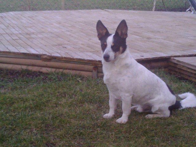 Historias de adoptados. Nayro Historias de adoptados. Nayro