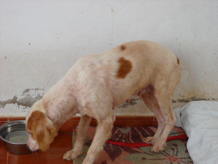 Novedades de Mer Novedades de Mer