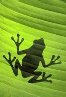 ÚLTIMO RUEGO A UN POETA. ÚLTIMO RUEGO A UN POETA.