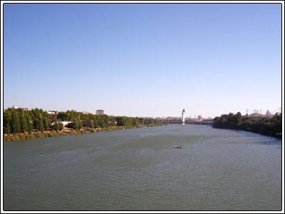 El EBE: Guía para novatos El EBE: Guía para novatos