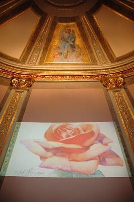 Roses a la tardor: Un día para recordar. Roses a la tardor: Un día para recordar.