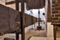 Visita a las bodegas del Aljarafe Visita a las bodegas del Aljarafe