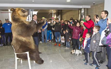 ¿ADIESTRAR ANIMALES EQUIVALE A TORTURARLOS? Hay veces que da la impresión de que muchas biempensantes y bienintencionadas personas ven a los animales como si de otra especie de personas se tratara; como aquel juez argentino que determinó que un orangut... ¿ADIESTRAR ANIMALES EQUIVALE A TORTURARLOS? Hay veces que da la impresión de que muchas biempensantes y bienintencionadas personas ven a los animales como si de otra especie de personas se tratara; como aquel juez argentino que determinó que un orangut...